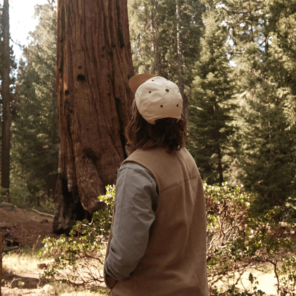 Pacific Cotton Snapback Creme/Brown